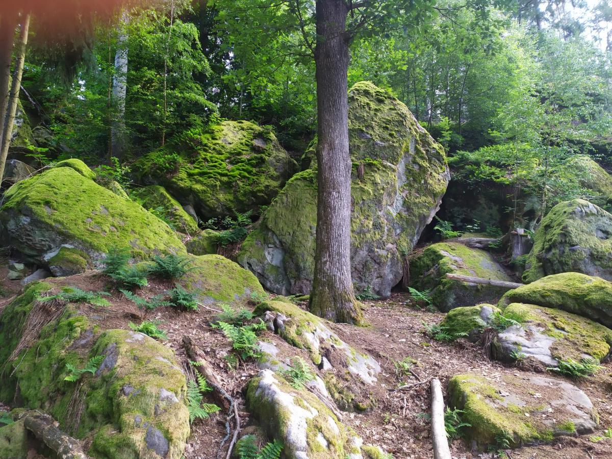 Ferienwohnung „Schau Ins Frankenland“ Burgpreppach 外观 照片
